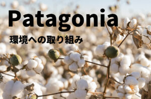 パタゴニアの原点、環境保護などのブランドポリシーについてのお話｜patagonia