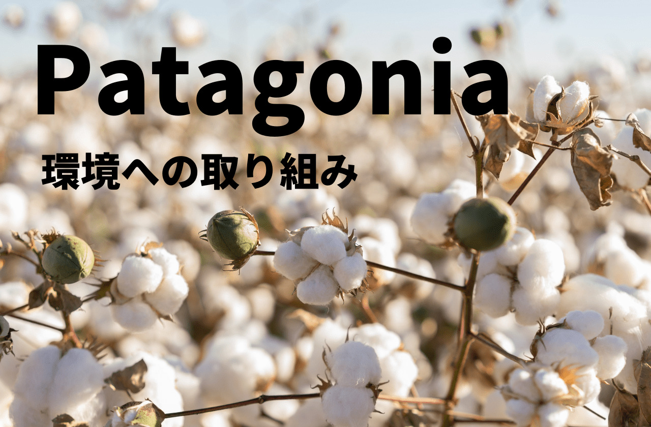 パタゴニアの原点、環境保護などのブランドポリシーについてのお話｜patagonia