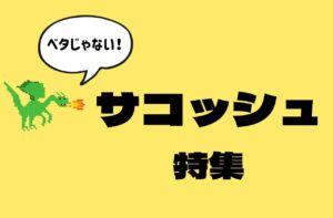 【フェス・旅行に】“ベタじゃない”サコッシュが欲しい方のためのおすすめ10選【近所のお出かけにも】