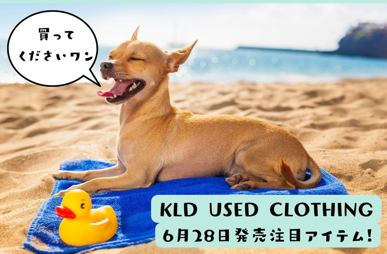 【KLD】6月29日発売の新商品をご紹介！【SARTORE / 45r / Chloe / kolor / AURALEE / ARCHIVIO J.M.Ribot…】