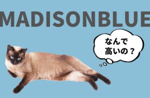 なぜMADISONBLUEの服は高いのか？｜マディソンブルー