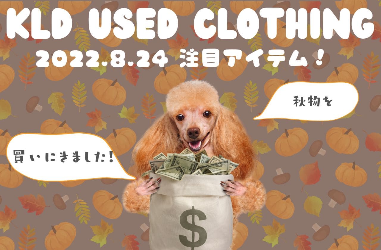 【KLD】8月24日発売の新商品をご紹介！【Maison Margiela / PHIGVEL / Paraboot / LEVI'S / CASEY CASEY…】